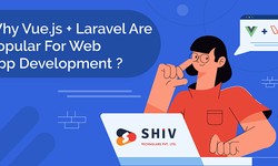Laravel And Vuejs: Why Is This Couple Getting Popular for web development?