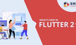 What’s New in Flutter 2?