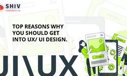 Top 6 Reasons Why You Should Get Into UX/UI Design