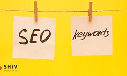 How Does SEO Help Your Business to Grow?
