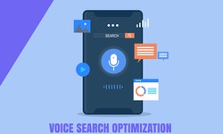 How to Transform the Future of E-Commerce Using Voice Search?