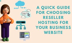 A Quick Guide For Choosing Reseller Hosting for your Business Website