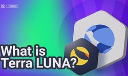 What is Terra LUNA? Terra blockchain LUNA crypto explained