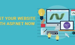 Host Your Website With Asp.net Now: Top 5 Reasons Why You Should