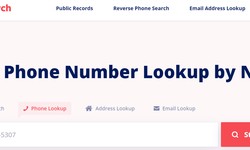 How does a phone number lookup work?
