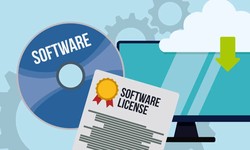 What are the different types of cheap software licenses