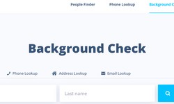 What is included in the background check process?