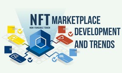 NFT Marketplace Development and Trends