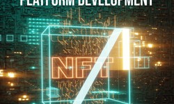 NFT Exchange Platform Development a Step by Step Guide: