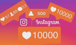 How to Build an Instagram Followers Gallery that Gives You 5000 Views for Free!