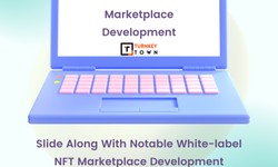 Grab The Ready-Made NFT Marketplace To Partake In The Web3 Journey!