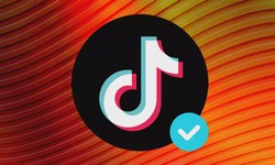 How to Get Verified on TikTok: What Can You Do to Increase Your Chance?