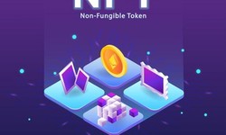 Why are Non-Fungible Token Development Services a better option in the long run?