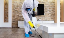What can you expect from an NEA-certified disinfection service?