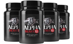 Alpha Beast Xl Reviews -  It Is Easy To Learn ? Things You Need To Know