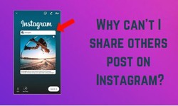 Why Can’t I Share Others Post On Instagram?