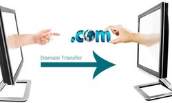 Transfer your domain name from one registrar to another