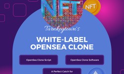 The White-Label OpenSea NFT Marketplace to Elevate your Business