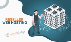 What you need to know about Reseller web hosting