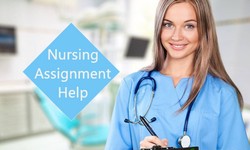 Autism Nursing Assignment Help