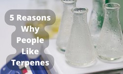 5 Reasons Why People Like Terpenes