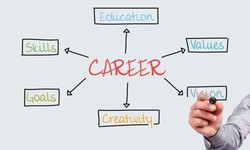 Career Counselling: What You Need to Know