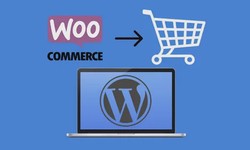 Woocommerce Optimization turns the advertisements to potential merchants
