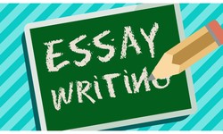 How to Find the Best Essay Writing Services