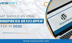 What should an ideal Wordpress developer offer in 2022