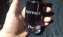 Dior Sauvage Dossier.co Top 4 Aromas You must Try