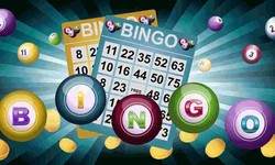 Online bingo games in Canada