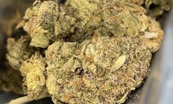 Top Medical Marijuana Dispensary For Weed in DC