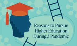 Why You Should Pursue Education
