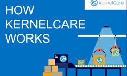 Update and secure your system with the KernelCare license