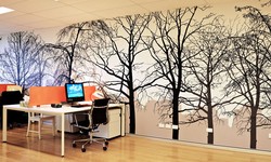 Commerical Paintings Designs and Murals For Your Office