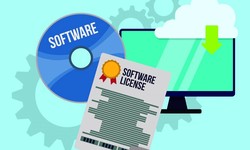 What are the Various Kinds of Software Licenses?