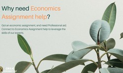 Why need Economics Assignment help?