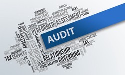 Stages and phases of internal audit