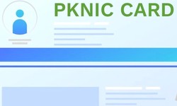 What are the objectives and advantages of PKINIC prepaid card