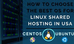 How to Choose the Best Os for Linux Shared Hosting in USA: Centos vs Ubuntu?