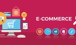 E-commerce website development helps you to boost your website