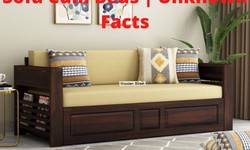 Let us Know about Sofa Cum Beds | Unknown Facts