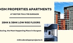 M3M Sector 79 Gurgaon - Happiness Can Be Found In Unexpected Places