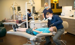 Facts and Figures on Orthodontists