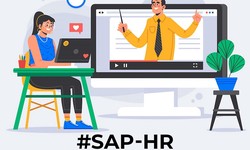 Which is the Best Institute for SAP HR Course in Gurgaon