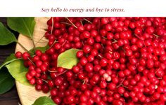 The efficacy and application of Schisandra essential oil