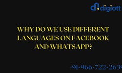 Why Do We Use Different Languages on Facebook and WhatsApp?
