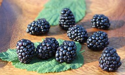 Can Blackberries Help Men's Health?