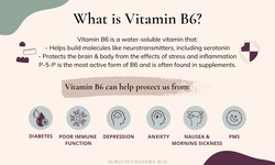 Understanding vitamin B6 and its role