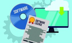 What are the different types of Software Licenses?